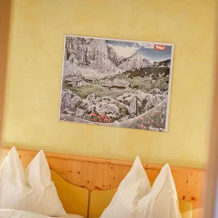 Cosy In F Gen 푸겐