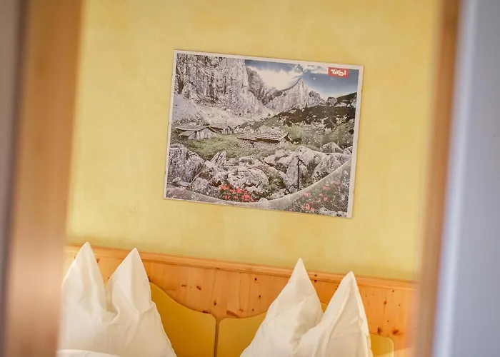 Cosy In F Gen 菲根